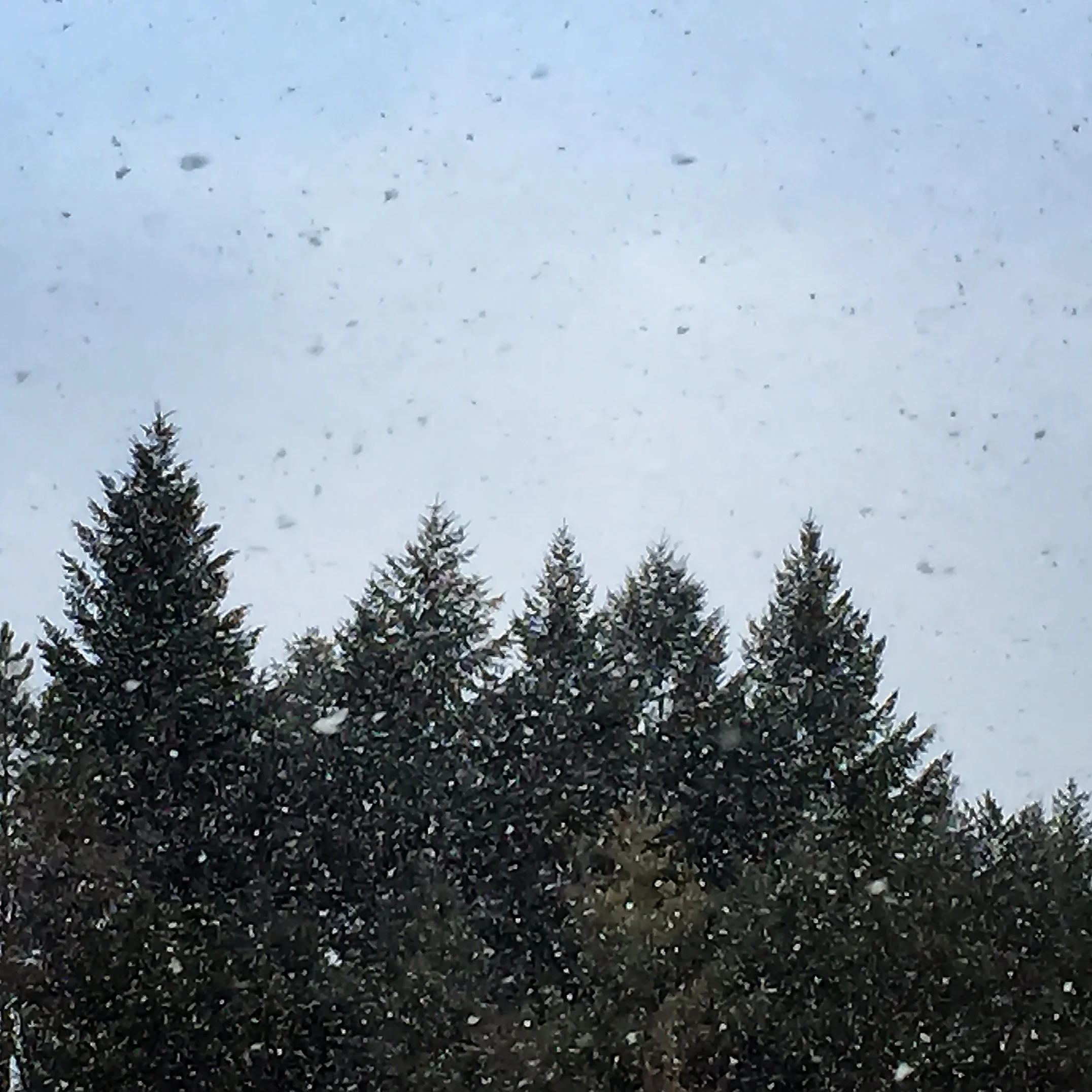 SLOW MOTION PERSPECTIVE