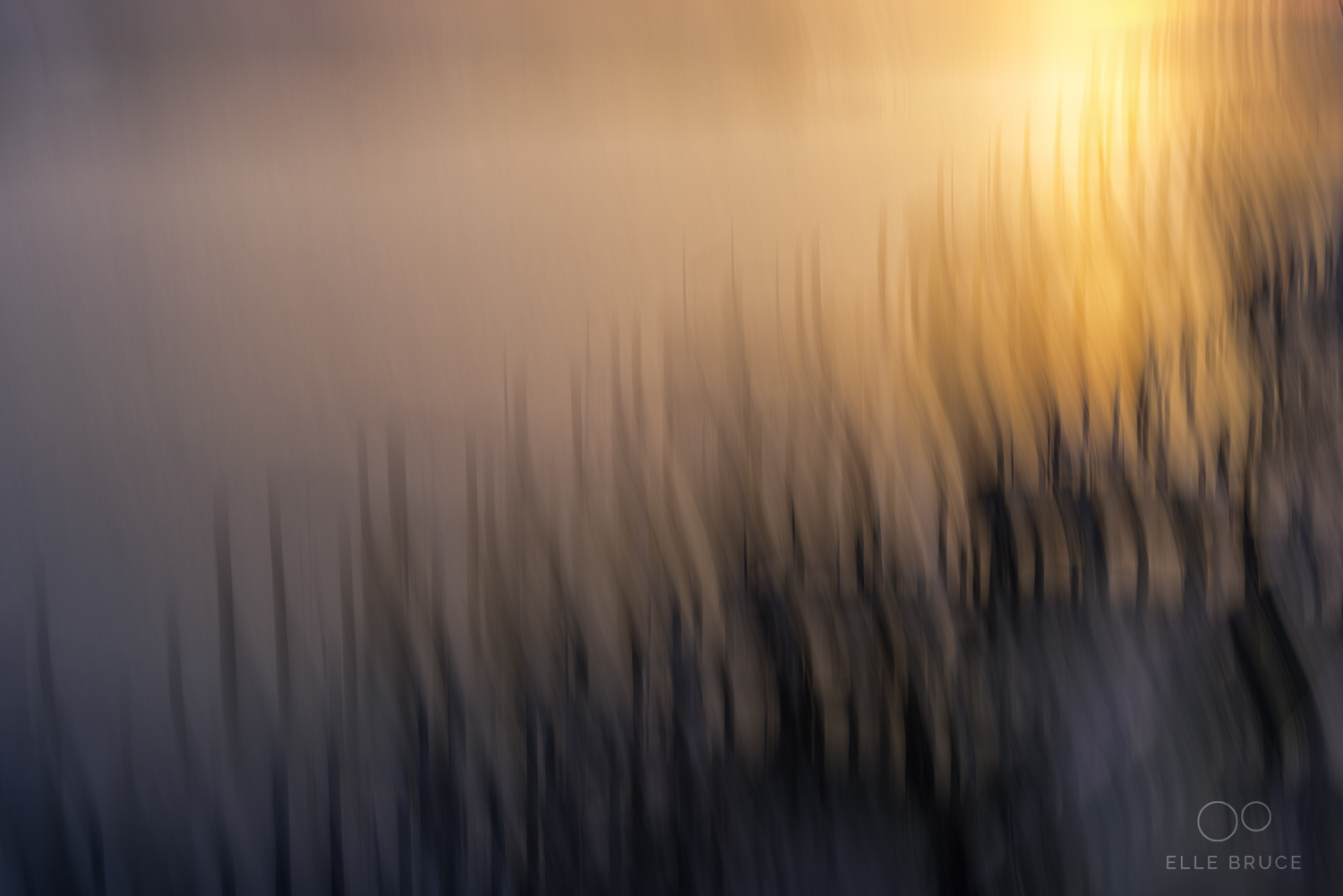 WARM MORNING GLOW ©Elle Bruce Abstract images made using the Intentional Camera Movement technique are hardly my invention. If I had not seen and been inspired by the works of photographic artists such as Josh Adamanski I may never have explored creating images such as the one above.