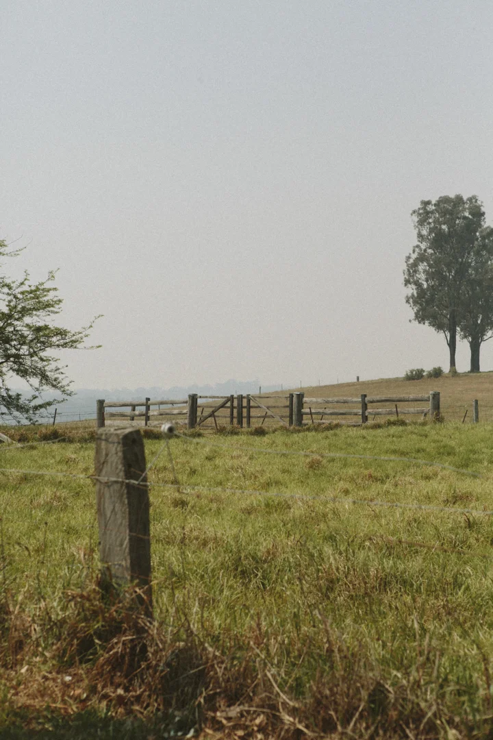 CF0004.jpg