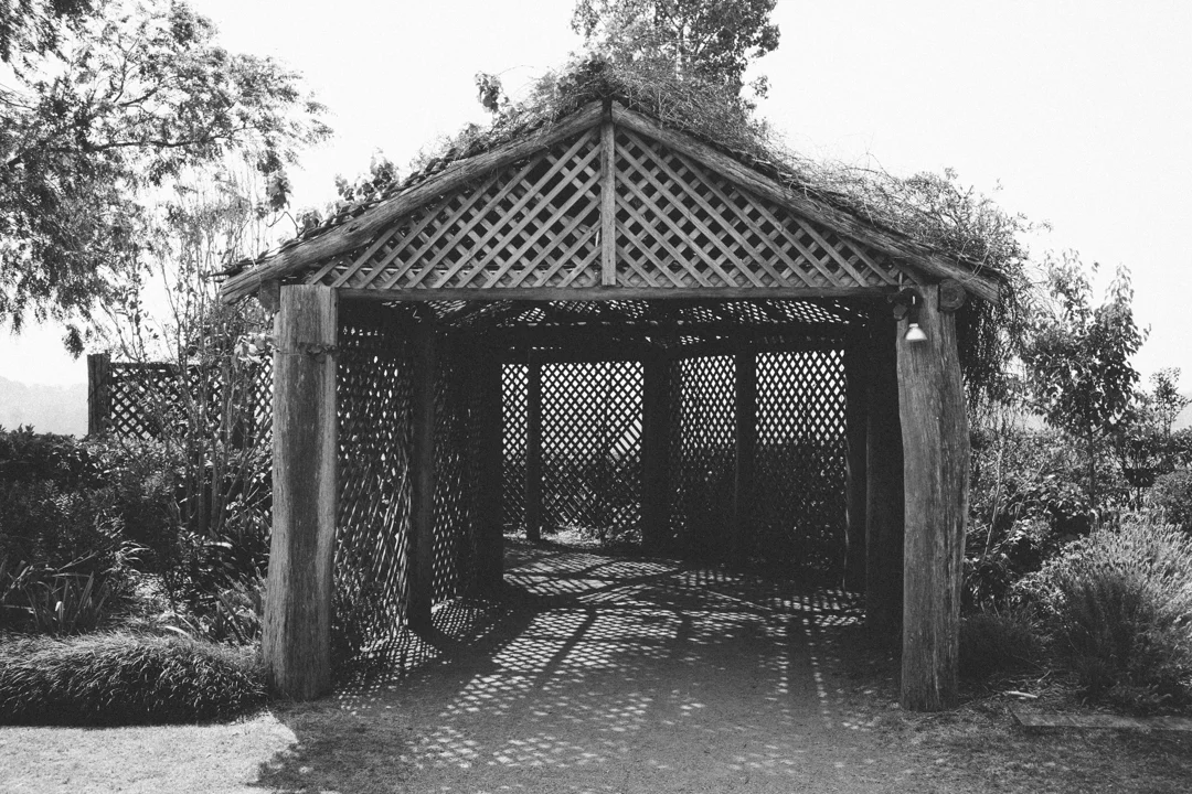 CF0011.jpg