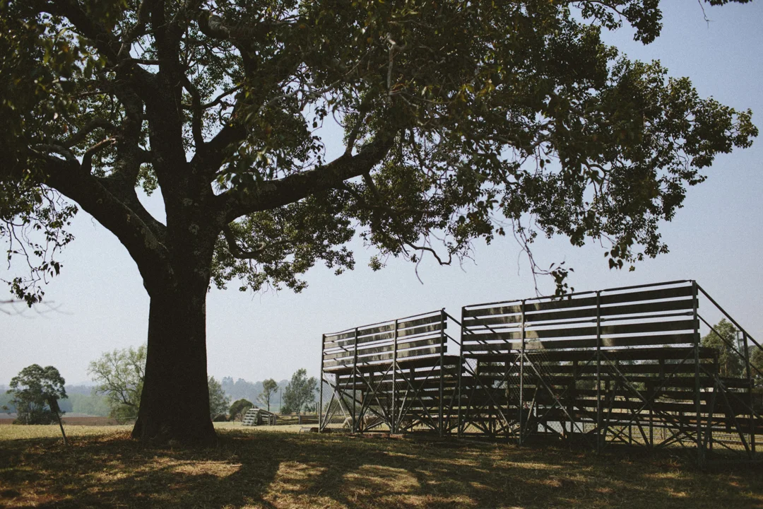 CF0023.jpg