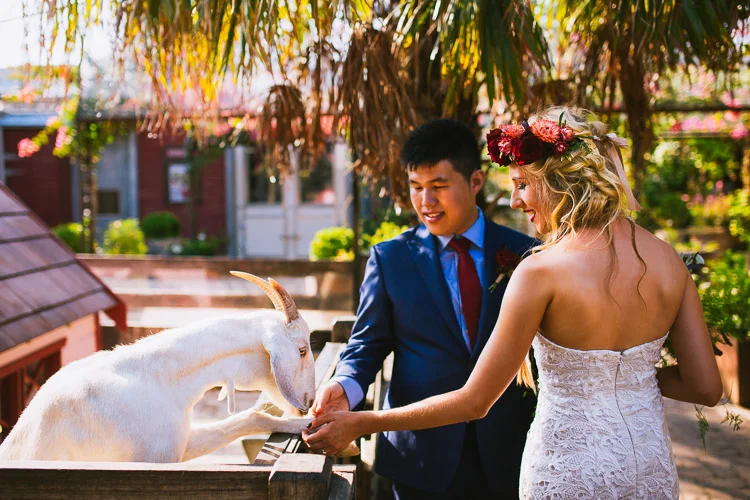 The_grounds_Sydney_Wedding_Photography_Rose_Photos001.jpg