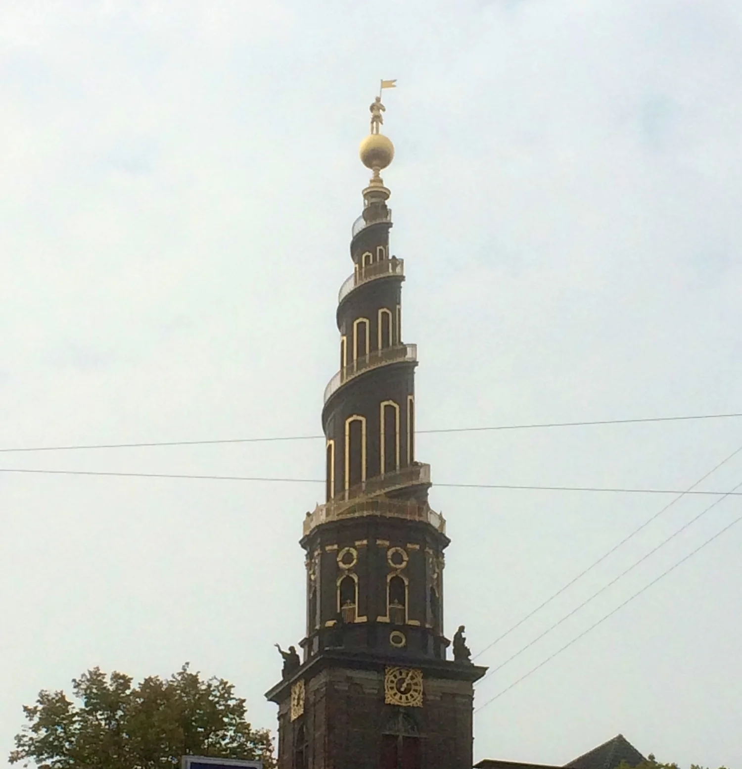 IMG_7869.jpg