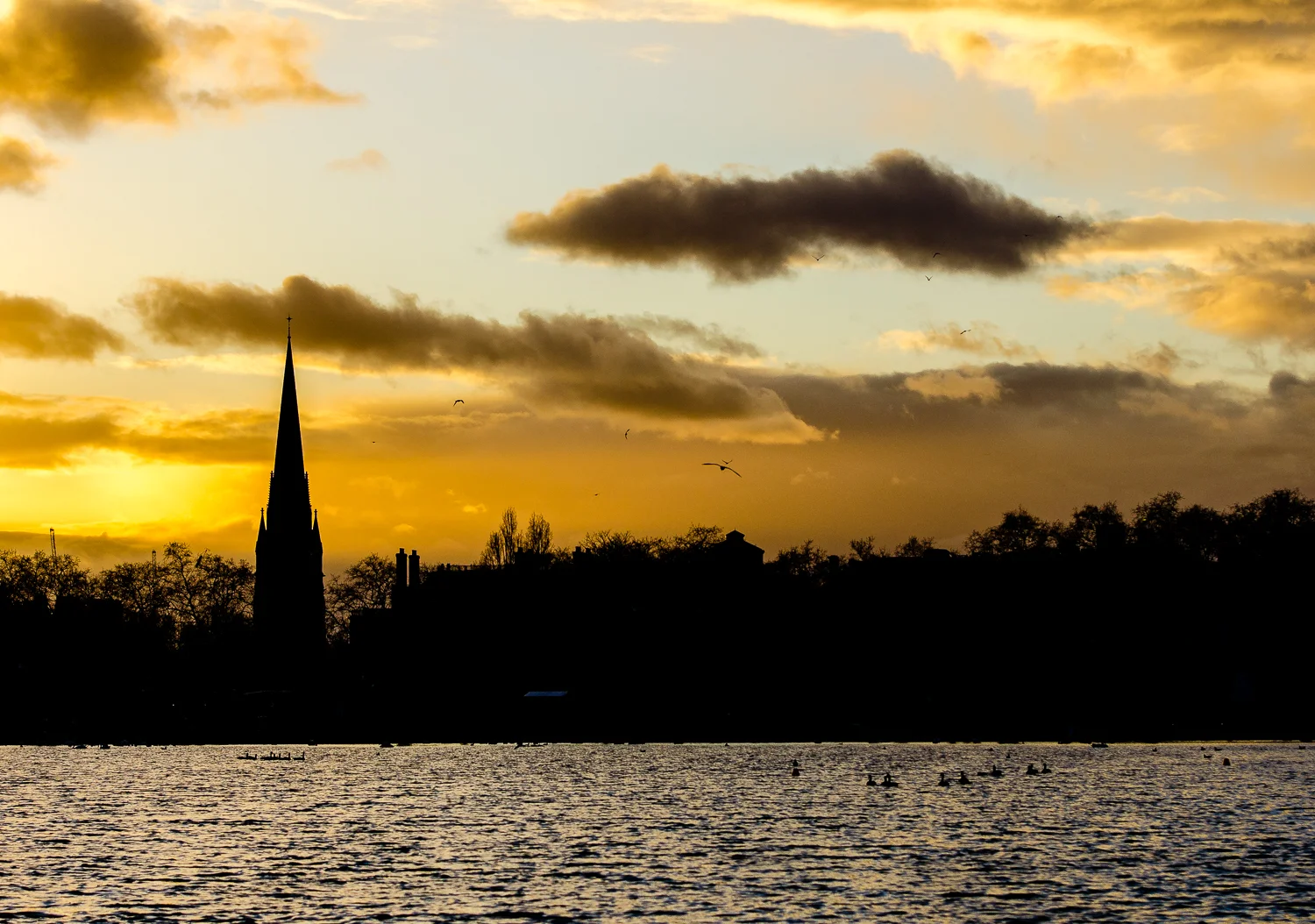 Hyde Park - Londres