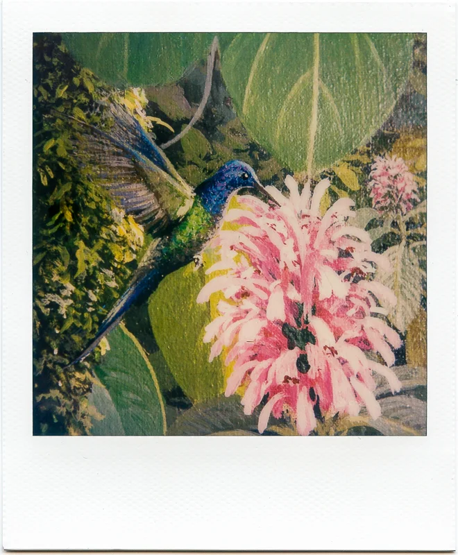 SX70Aug_2017__0001.jpg