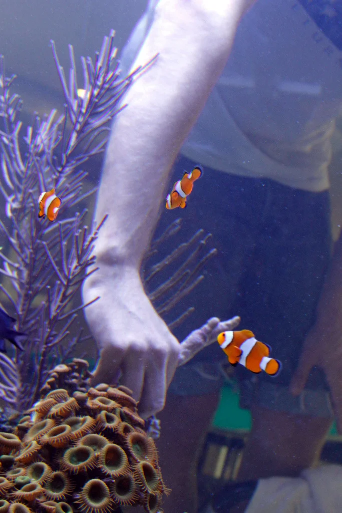 1-Noel Arm In Tank.jpg