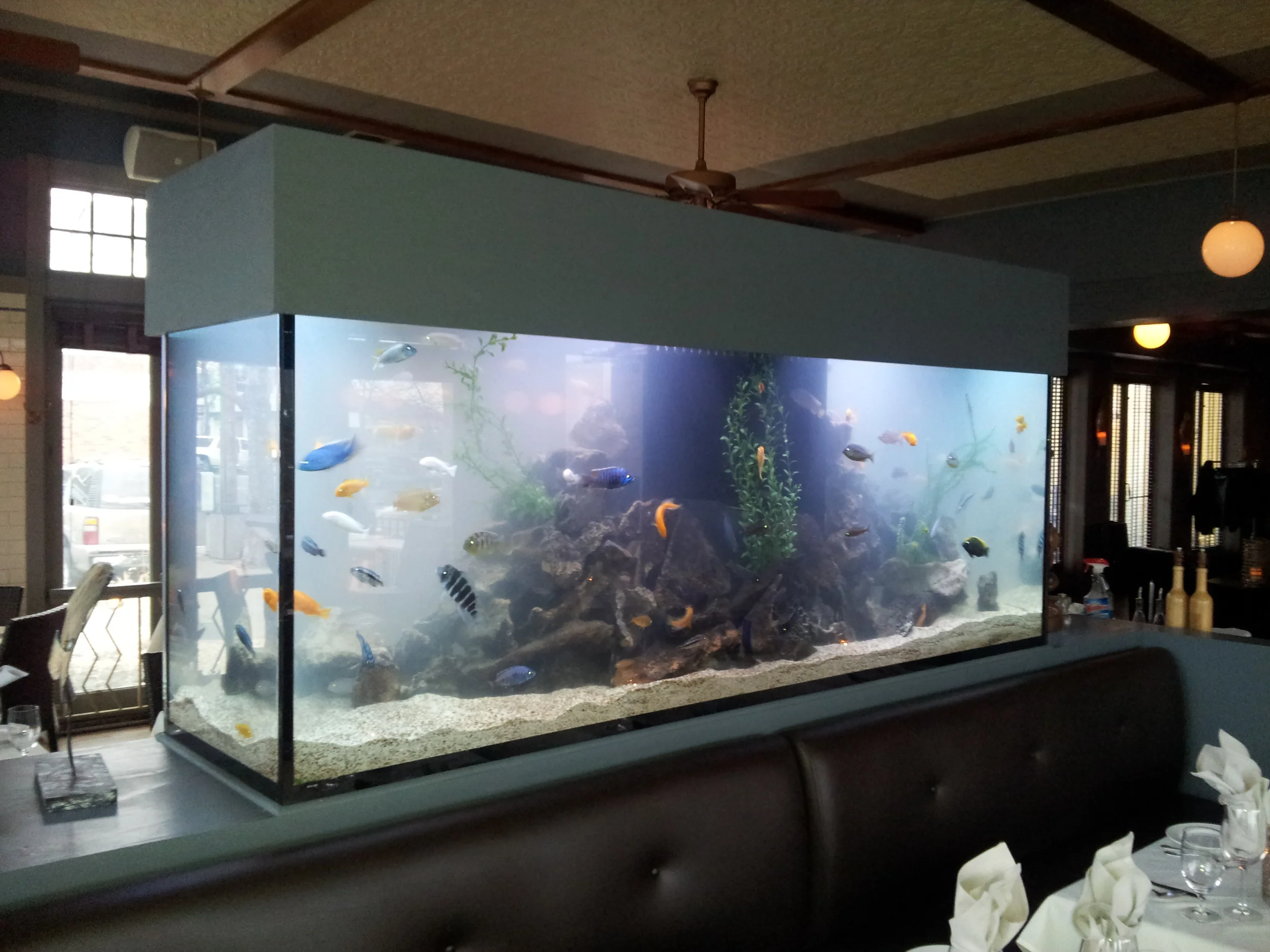 20130321_180746.jpg