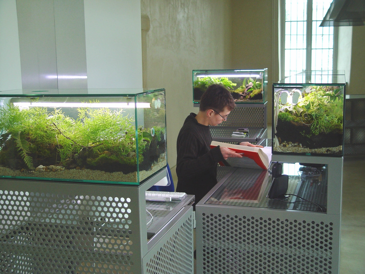 entrance deskw-terrarium.jpg