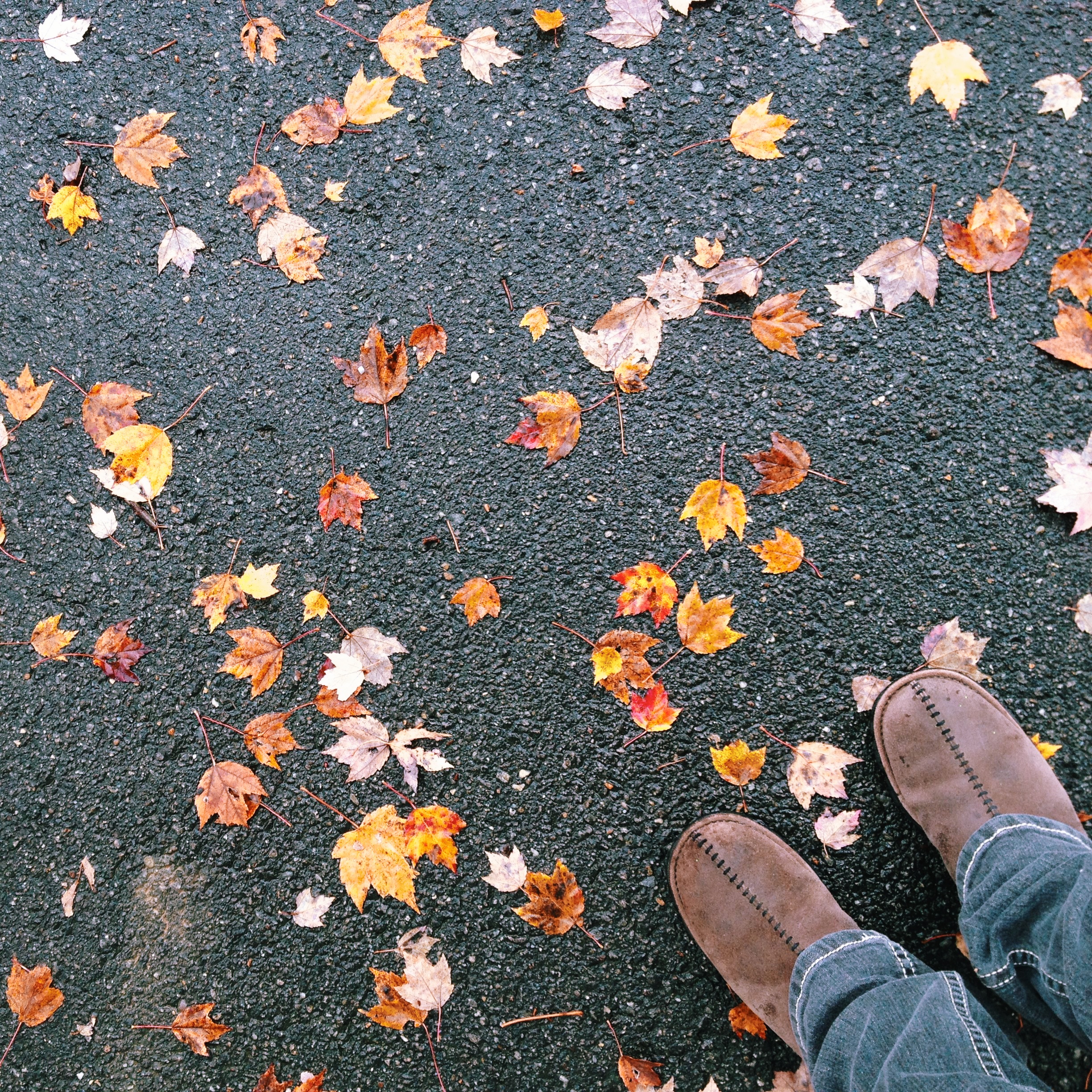 Fall