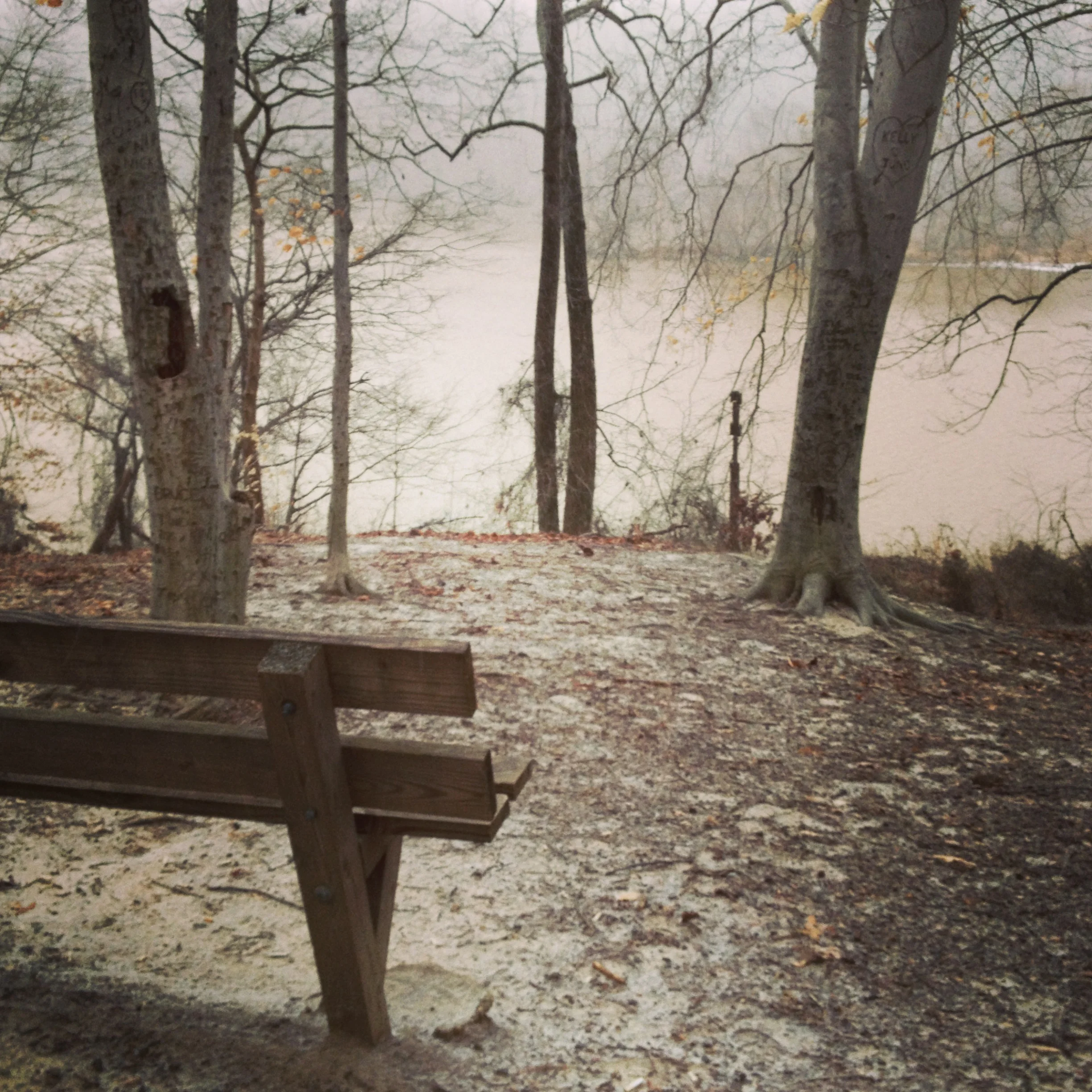 Lake Accotink Park, Virginia - February 2013