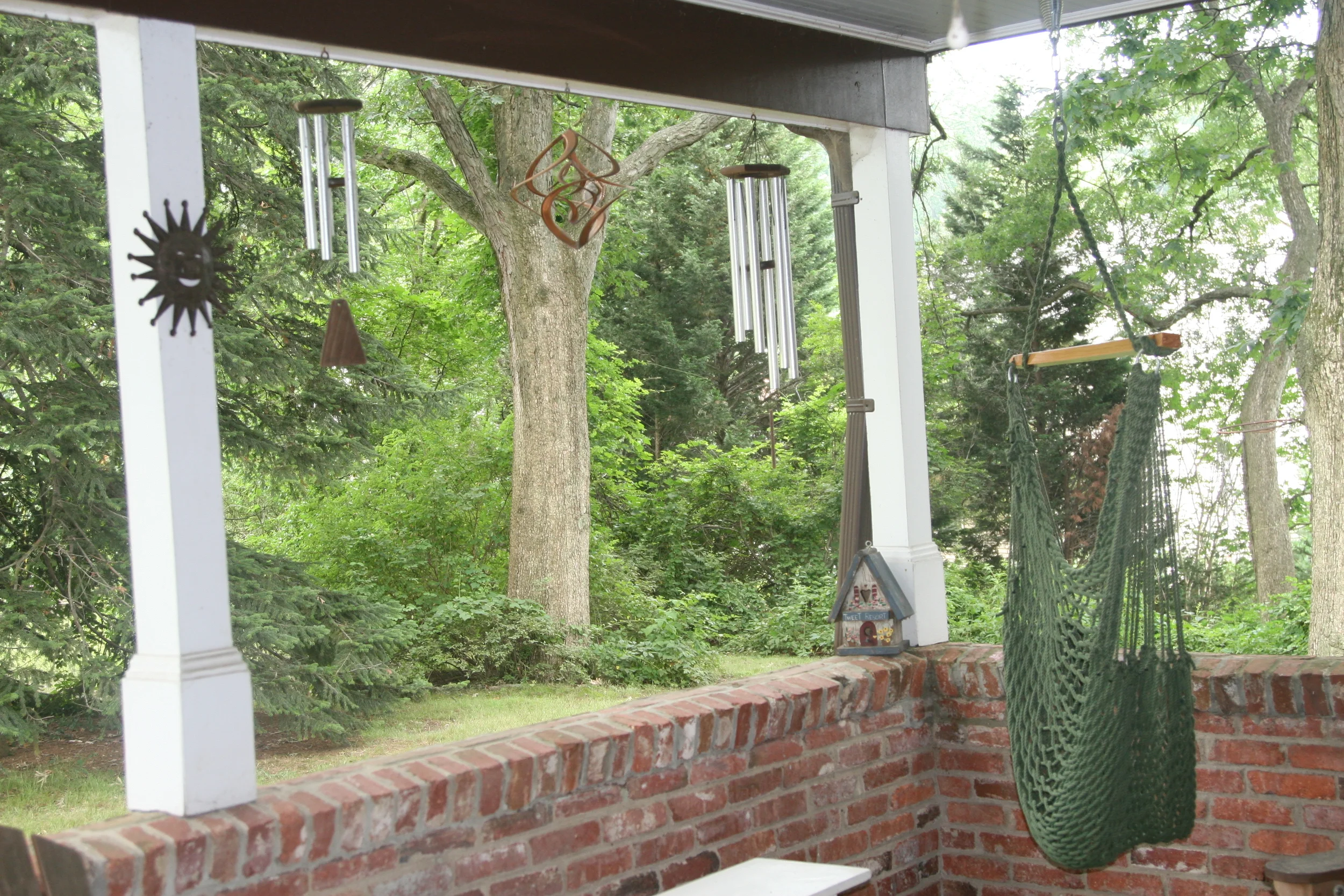 View from my back porch - June 2011