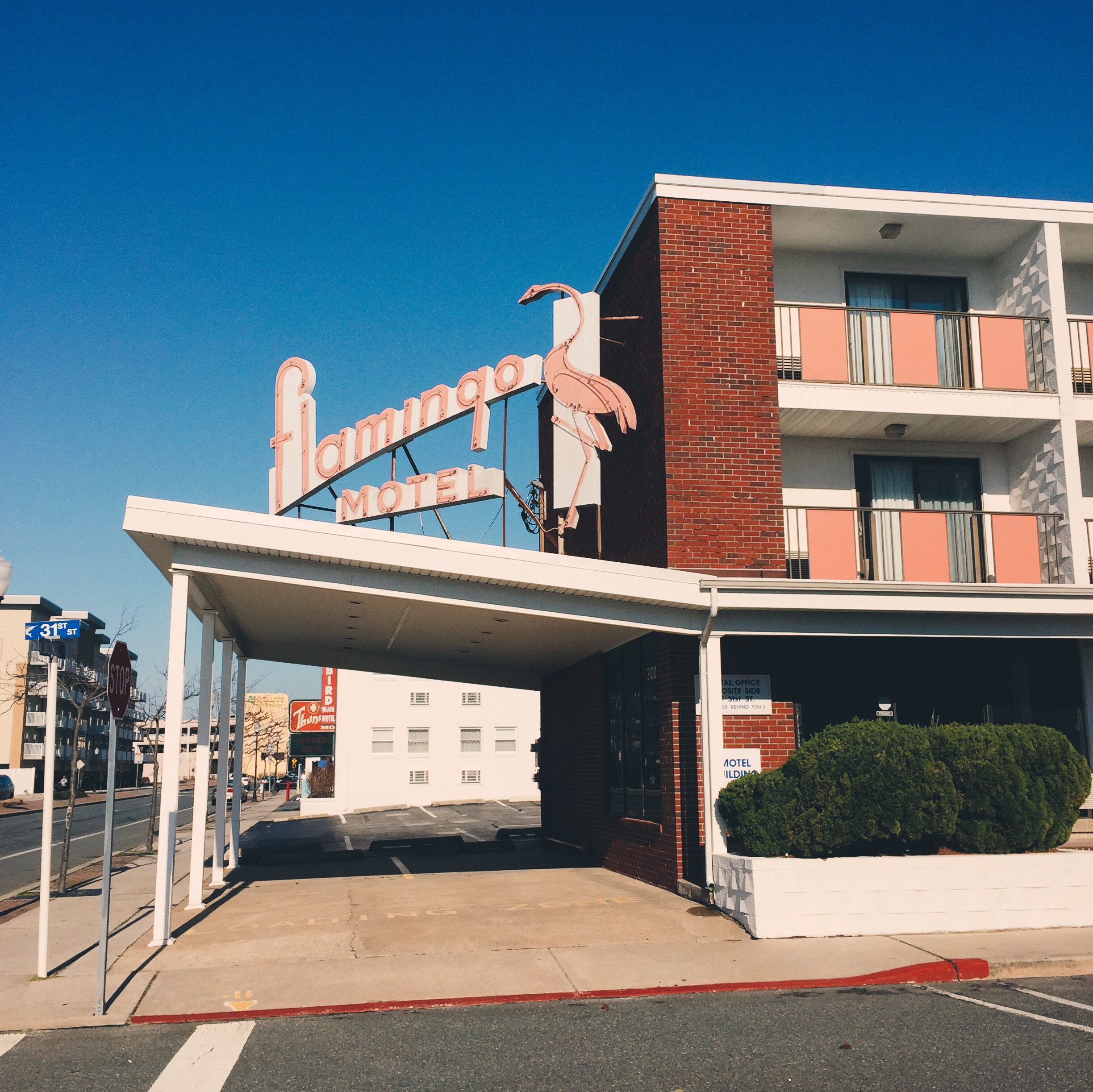 Flamingo Motel - 31st Street Ocean City, Maryland 2016