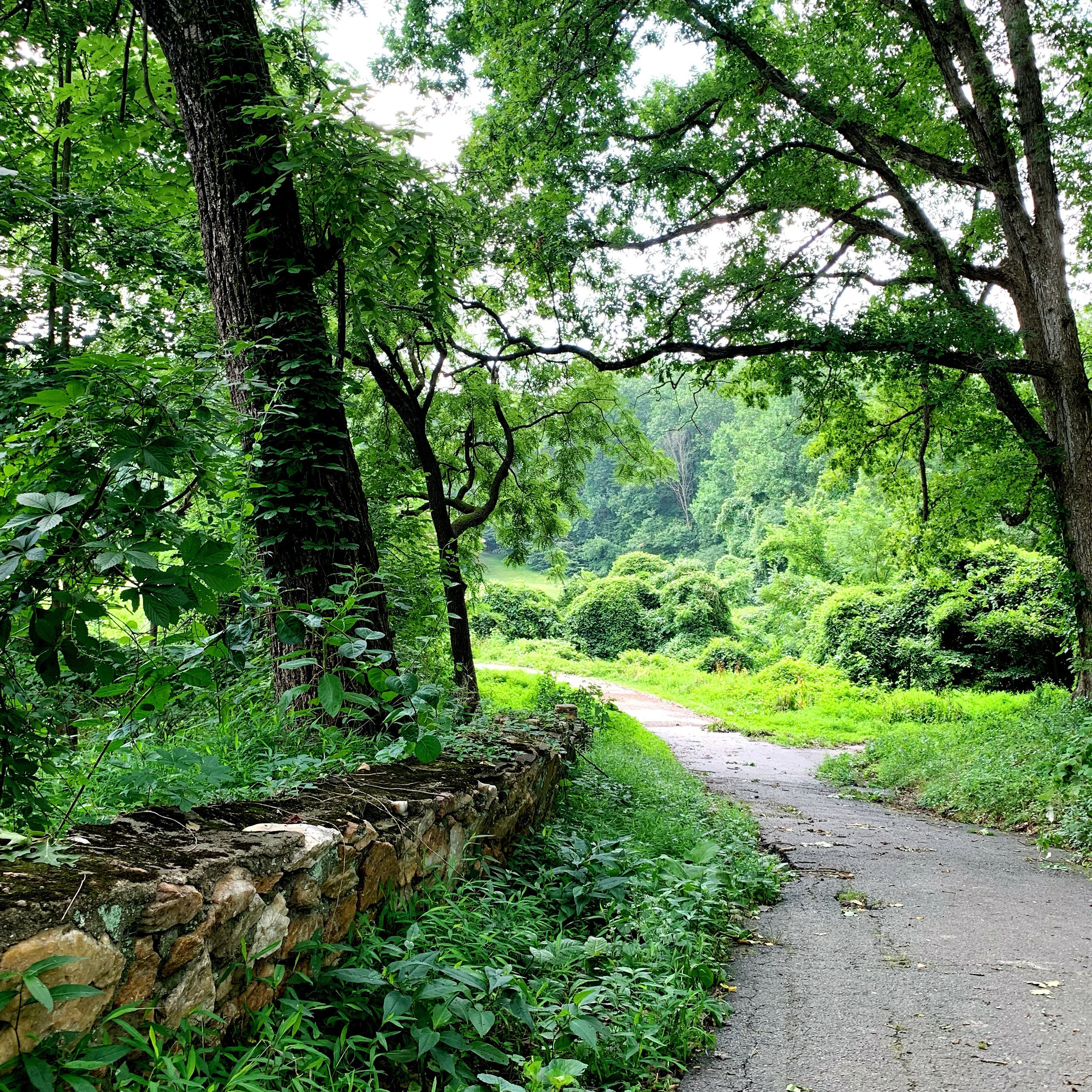 Simply Living the Path