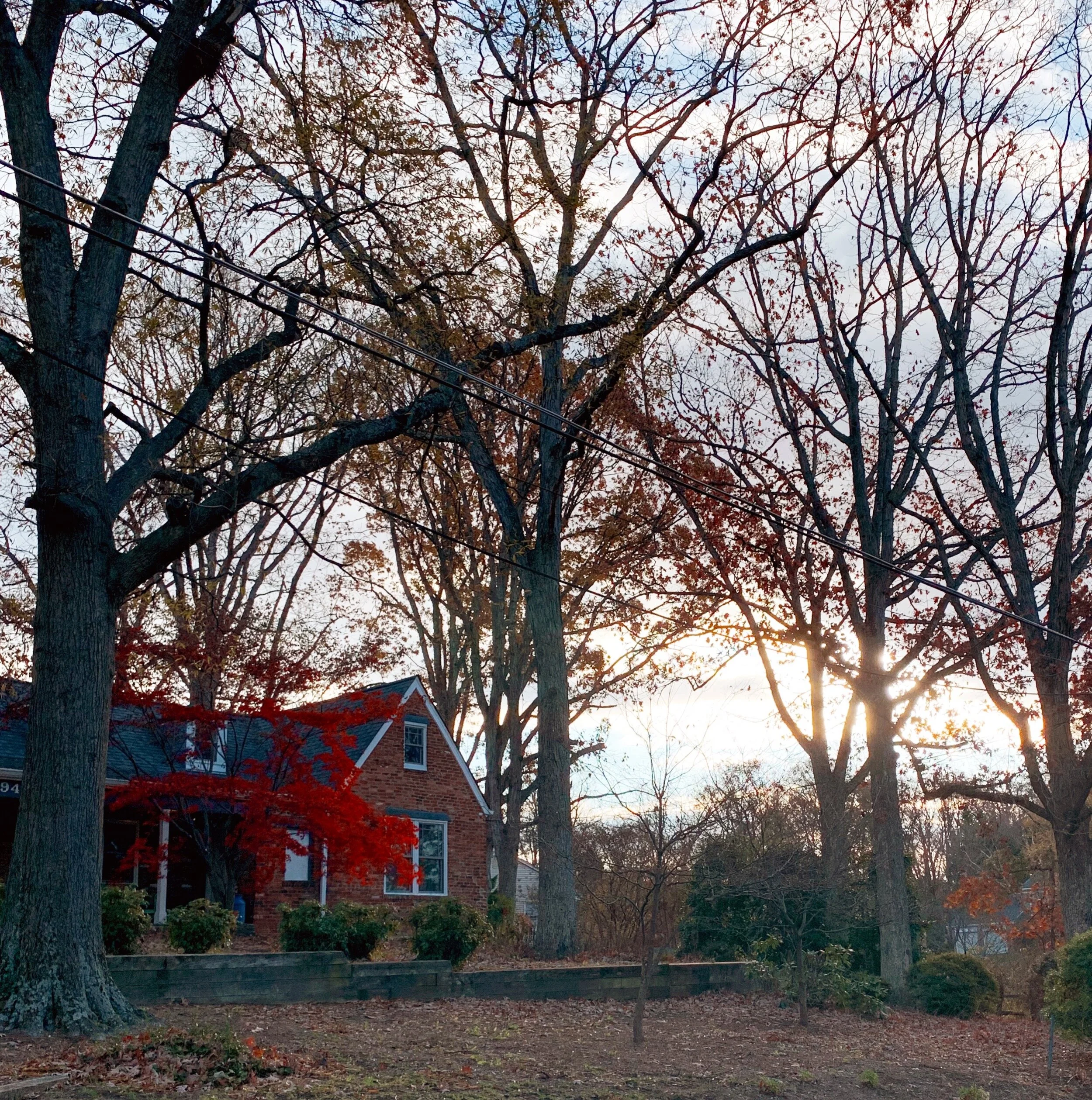 Home. 🍁 🍁 🍁