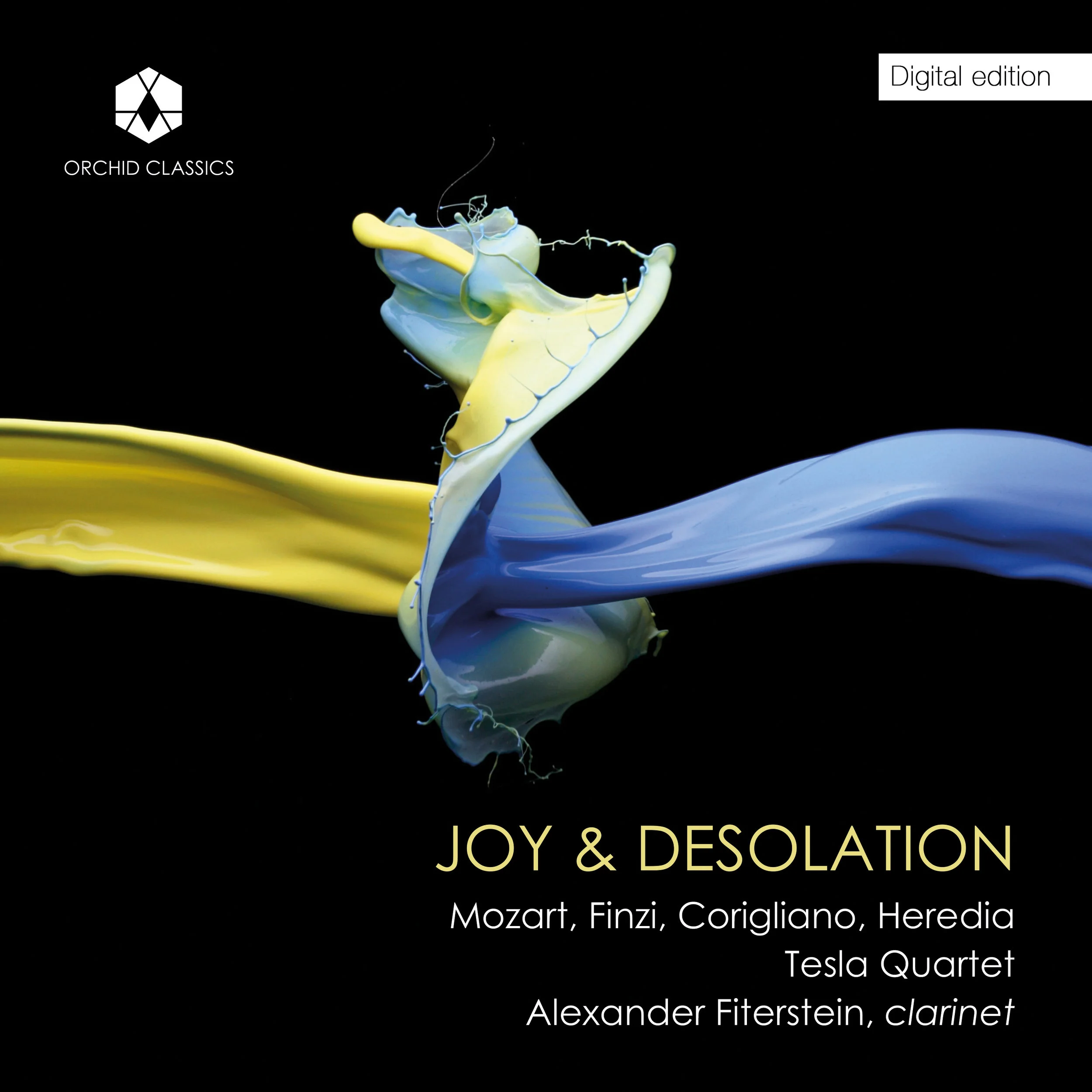 Joy and Dessolation digital front.jpg