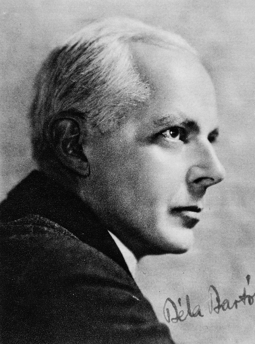 Bartok 4.png