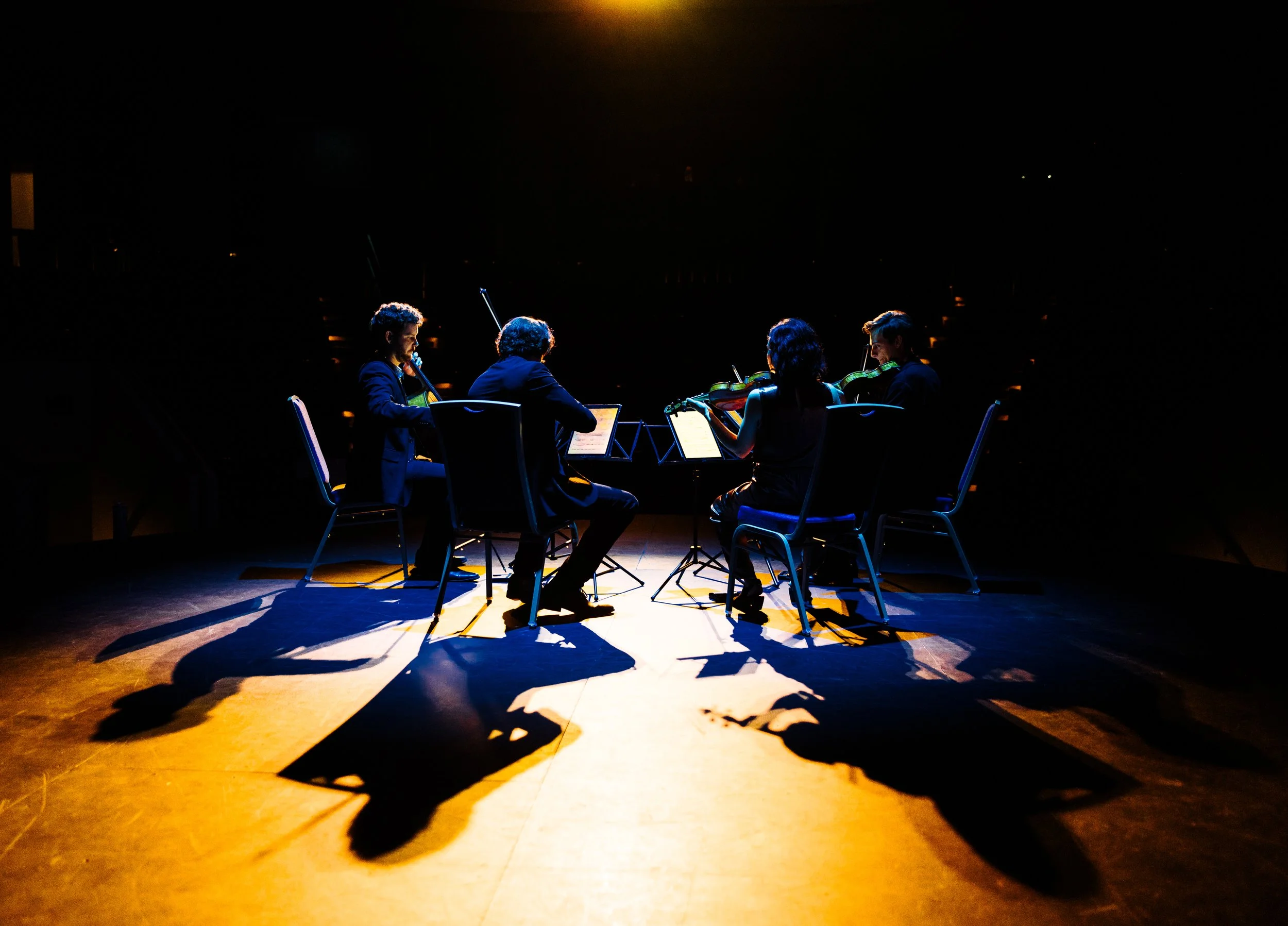 TESLA QUARTET VEGAS-53.jpg