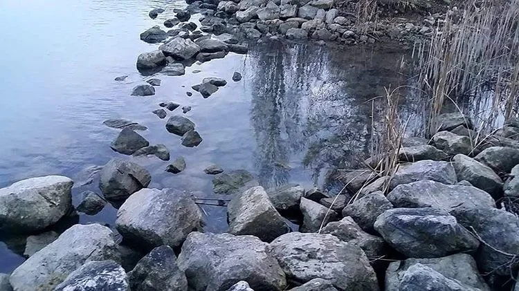 Let It Go and Love Each Other