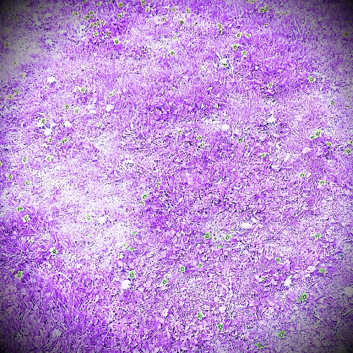 The Mourner & The Coroner