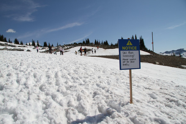 Skiing was actually still happening, but only in the morning, so we didn't see anybody there.