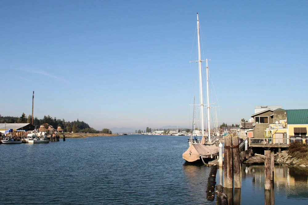 IMG_7428.jpg