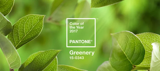 PMSGreenery.jpg