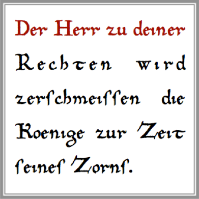 lamen_back_phaleg.png