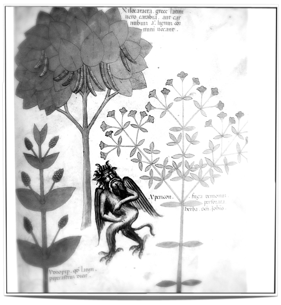 The herb Ypericon repelling a demon (15th century) - an example of annihilation by use of herbs.