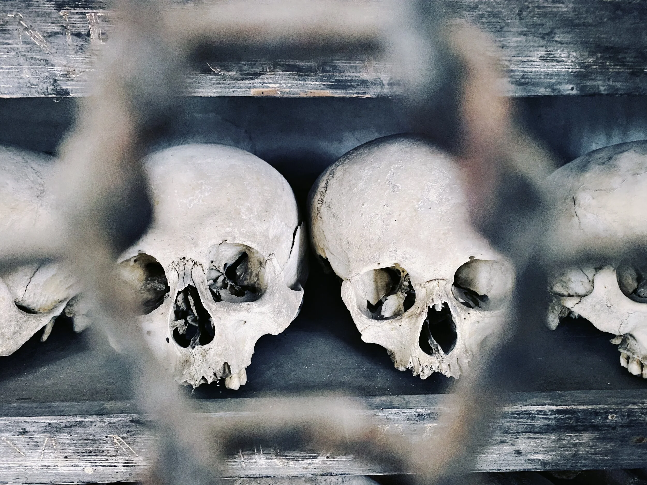 Trithemius and the Magic of Free Will.