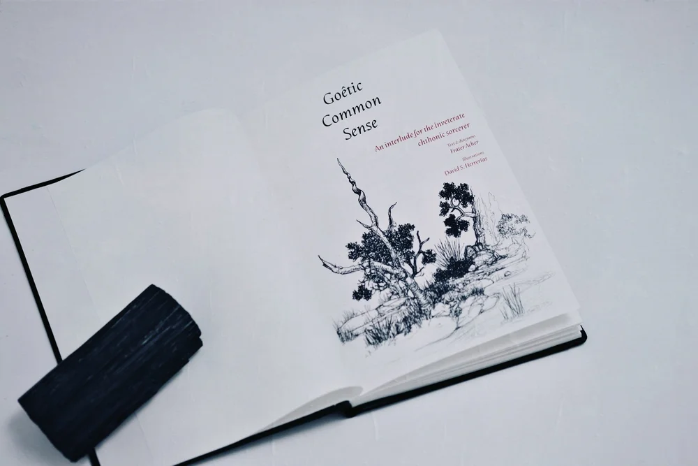 Goêtic Common Sense Fine Edition10.jpg