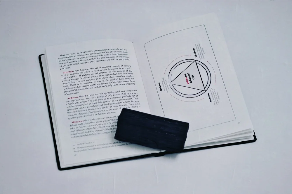 Goêtic Common Sense Fine Edition12.jpg