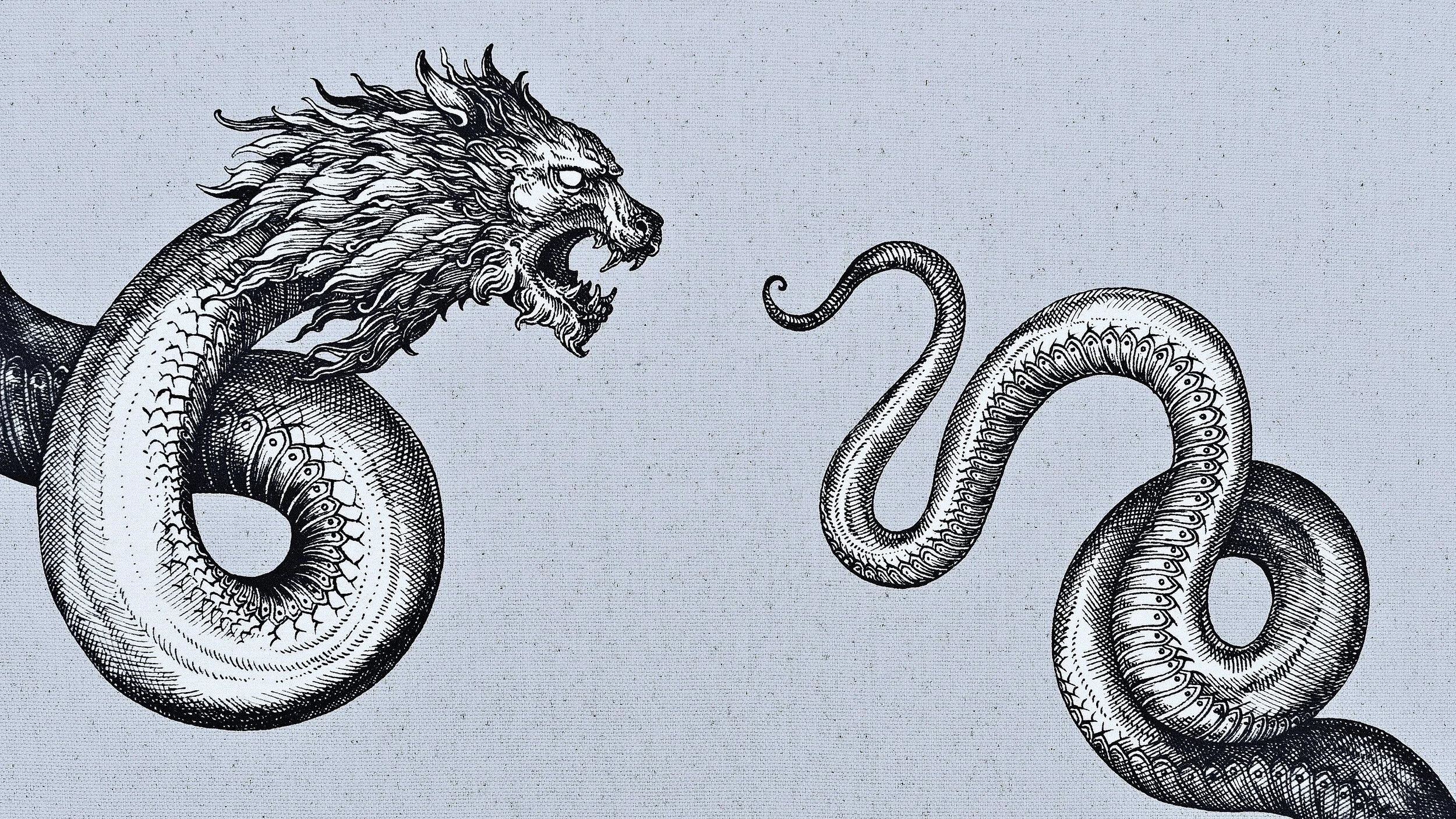 JPEG image-D8812A3C6BA7-1.jpeg