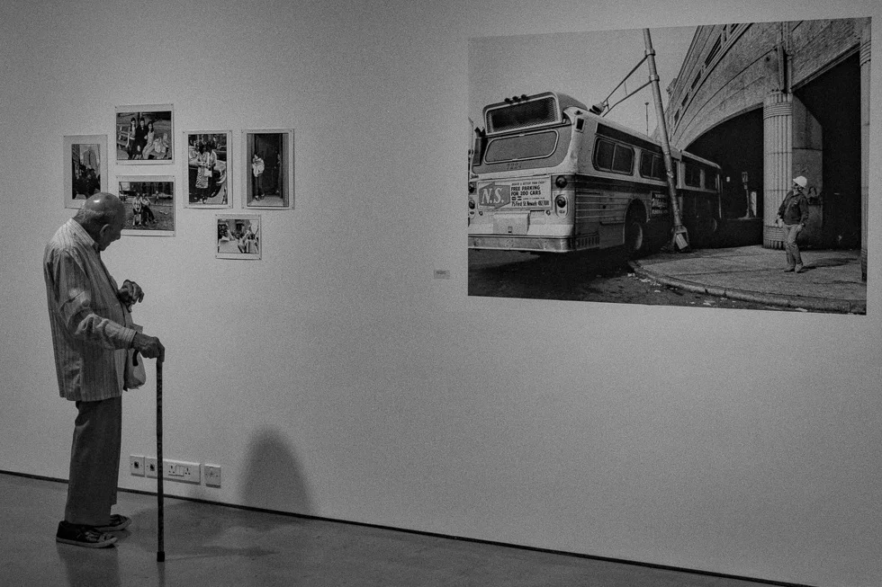 Admiring the photographic word