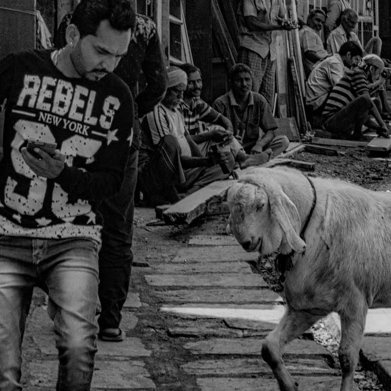 rebel-3.jpg