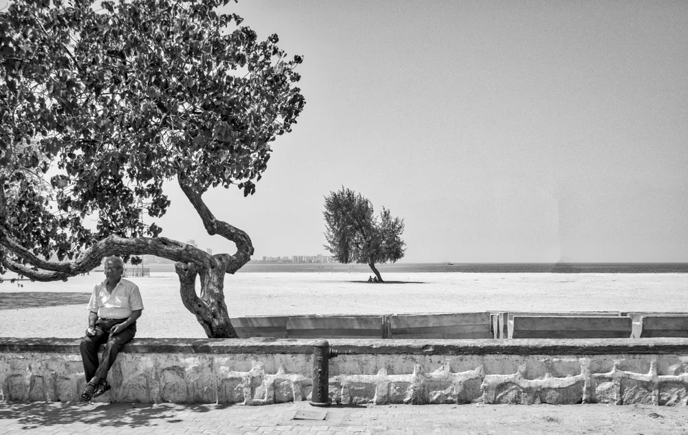 tree.jpg