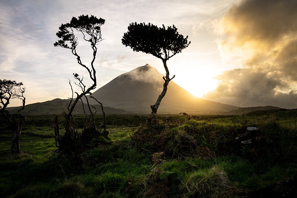 Hilariously Week on São Miguel