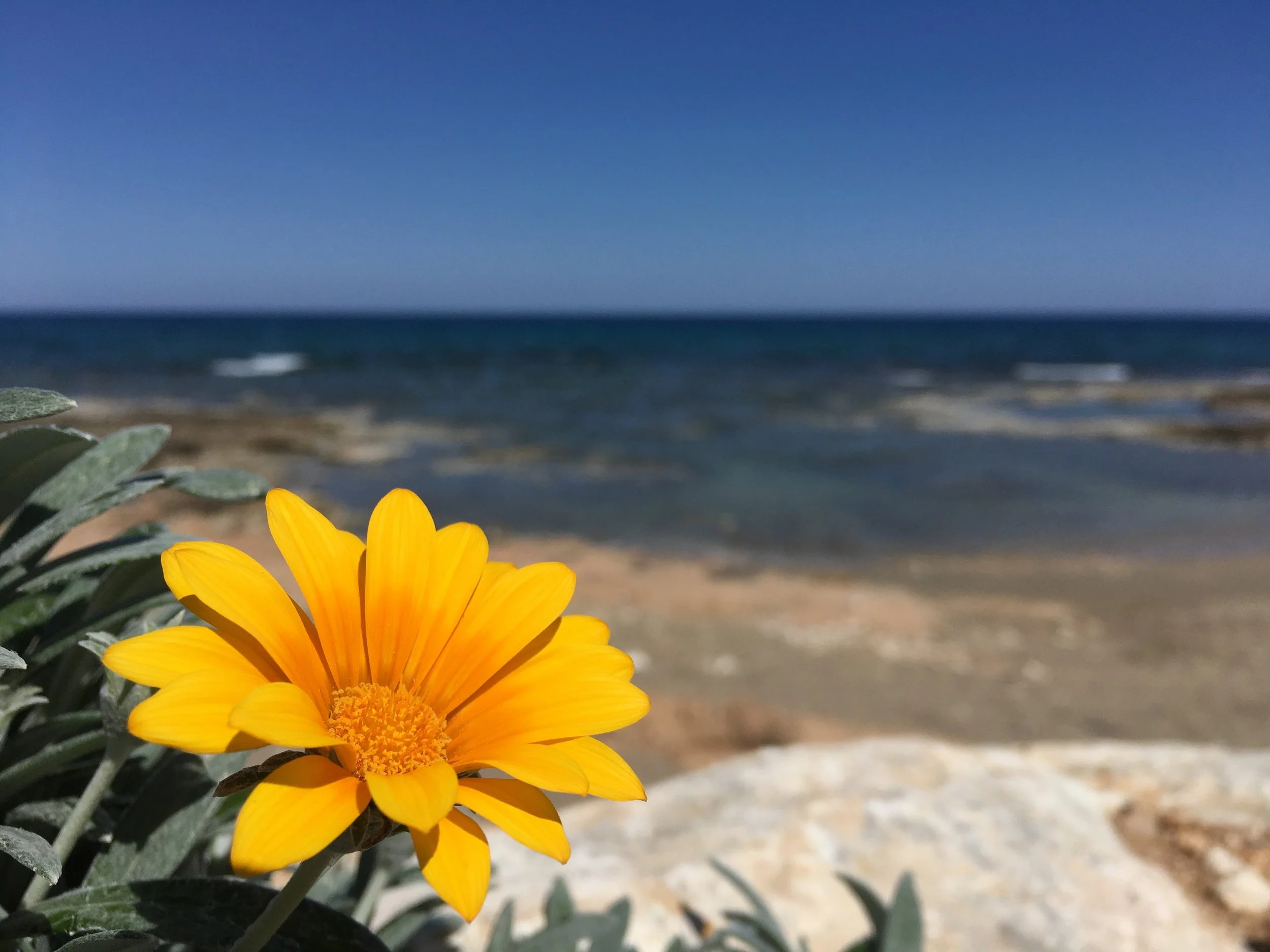 Cyprus in March