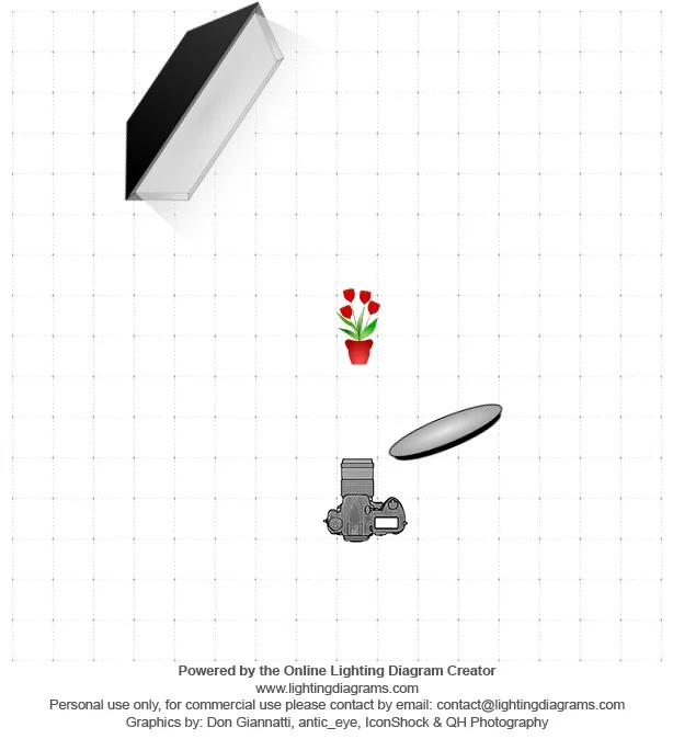 lighting-diagram-1342181674.jpg