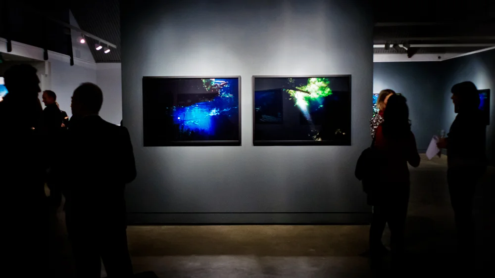 One of the feature walls at Stills Gallery
