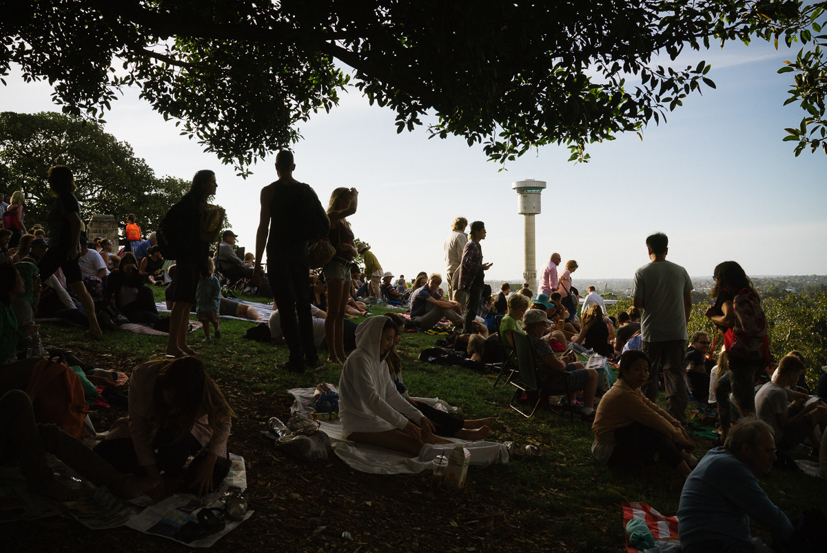 Scrambling for a view of the bridge at Observatory Hill Park, MIllers Point