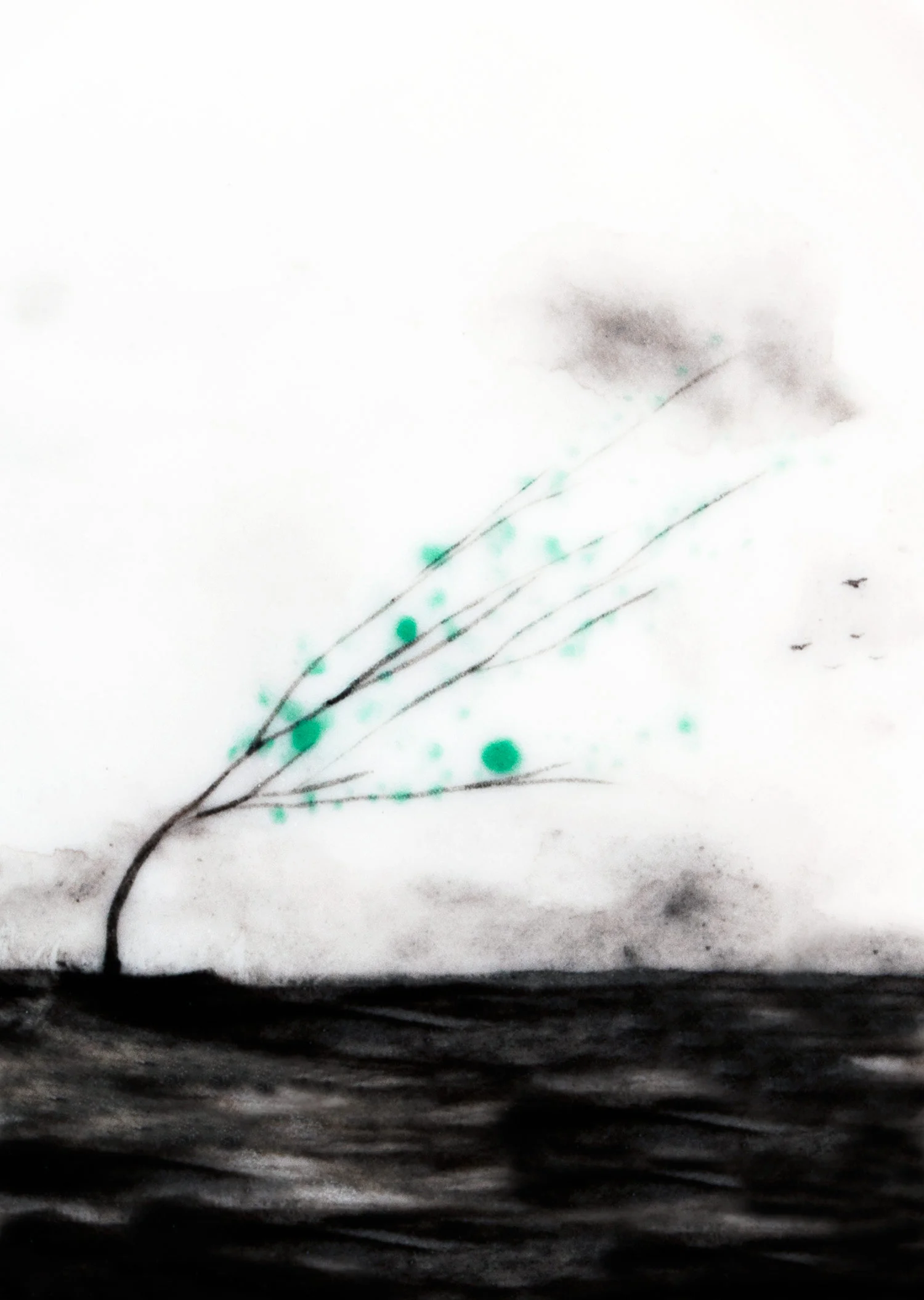 storm-a3-print-web.jpg