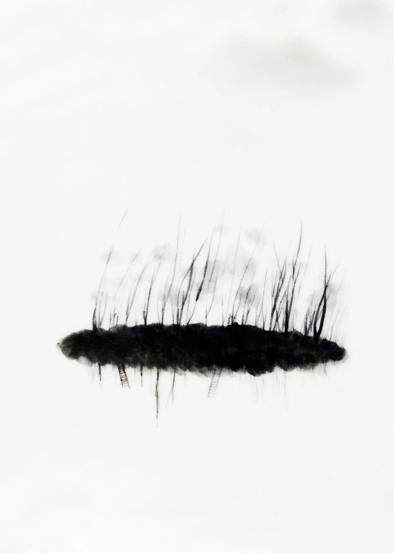 cloud-garden.jpg