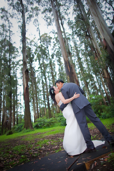 Dandenong Ranges Wedding