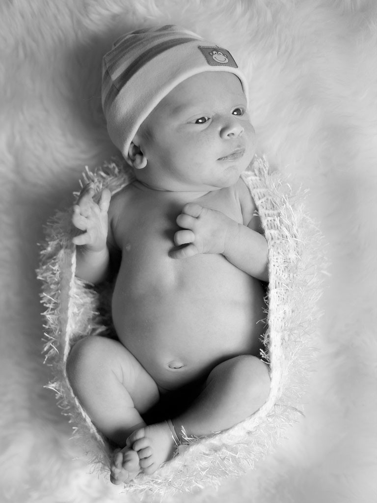 8389bw-ip.jpg
