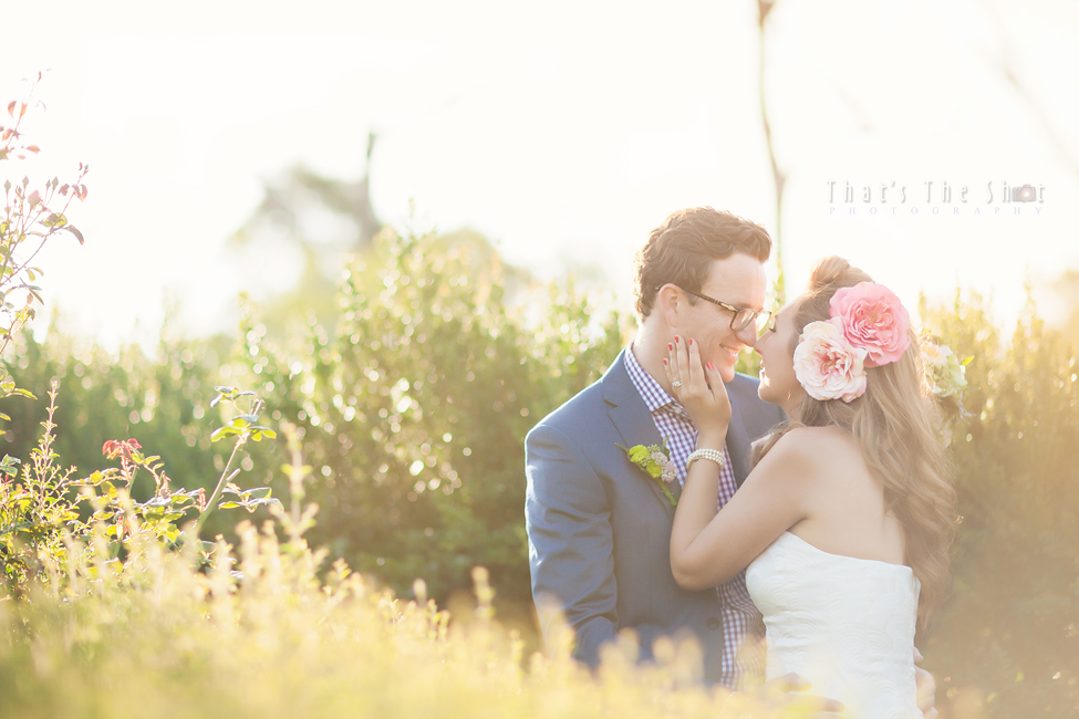 Melbourne Wedding Photographer