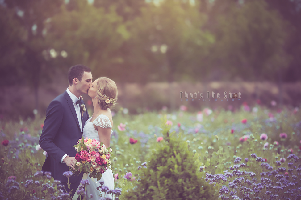 Melbourne Destination Wedding Photographer