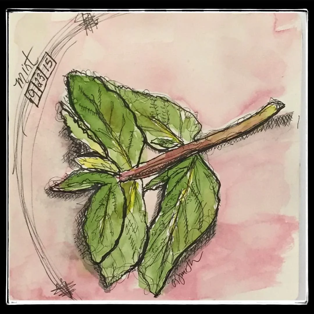 A Sketchbook Adventure