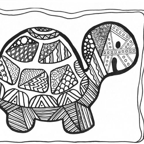 Turtle By Emily Stam