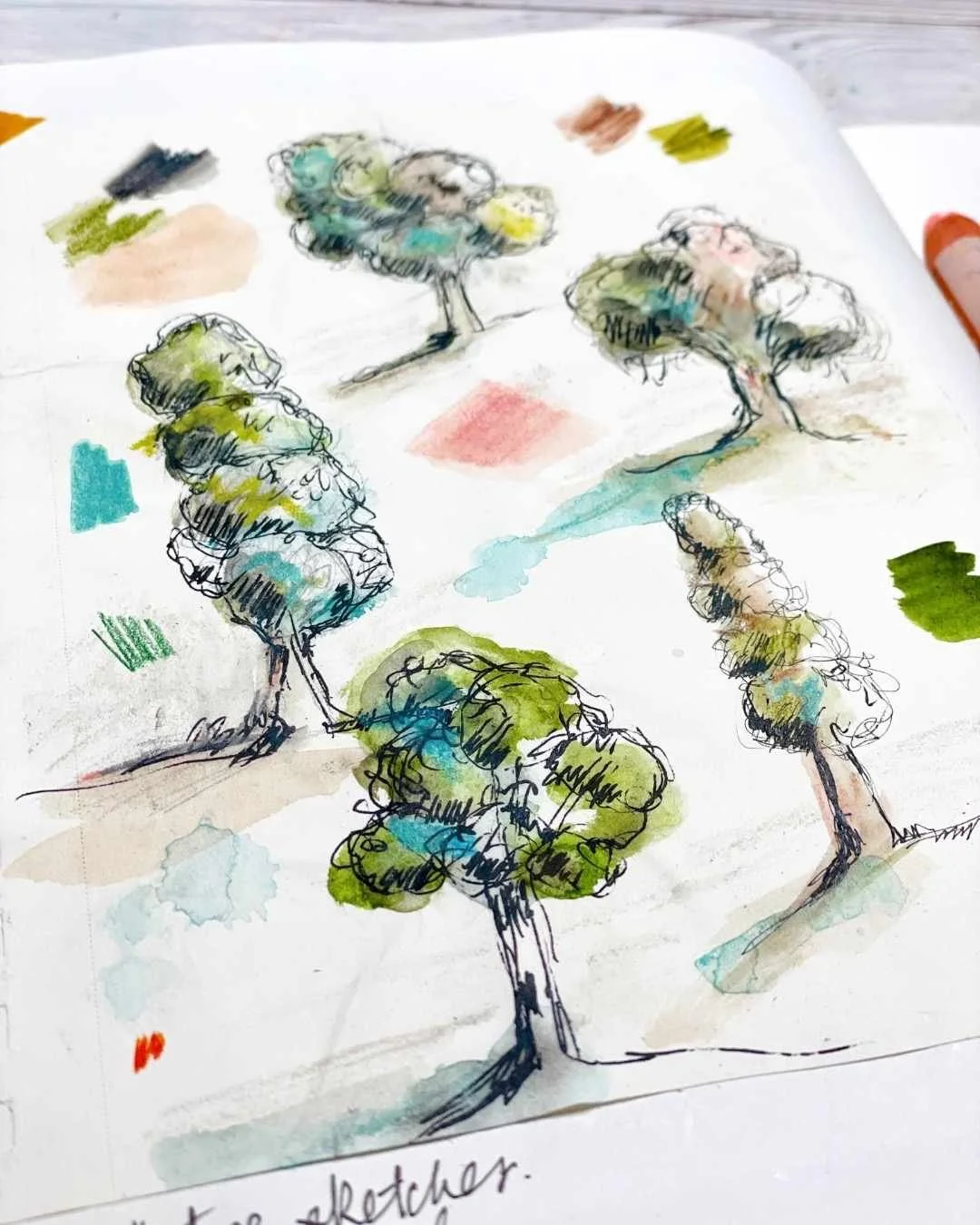 Loose Tree Sketches with Pen, Pencil, and Watercolor