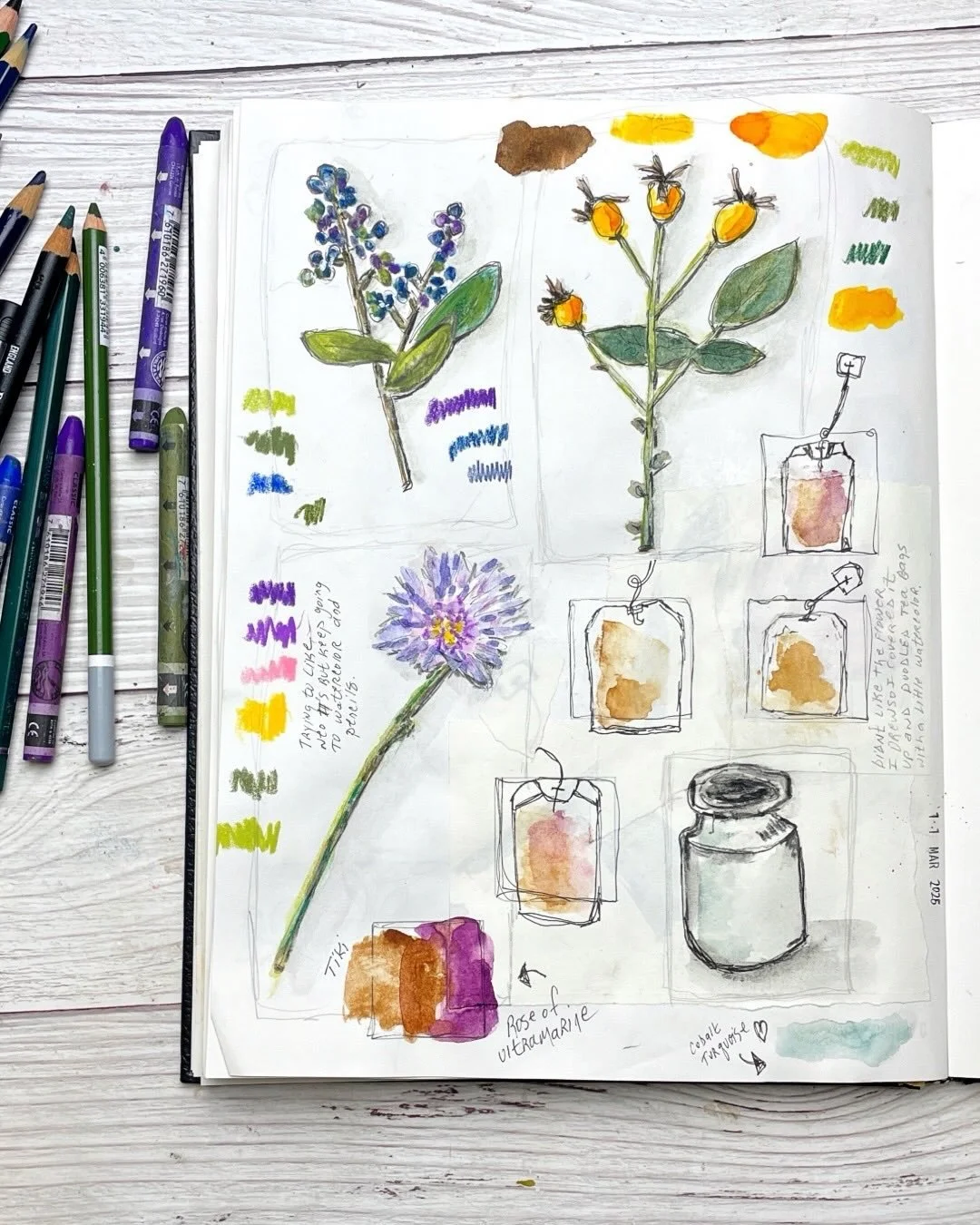 Today&rsquo;s page was a mix of botanical sketches and color play. I worked from references shared by Nathalia Vel&aacute;squez (@puapualena) and Viola Hortov&aacute; (@viola.artstudio) from their Patreon sketching sessions.

A few flowers, some leaf